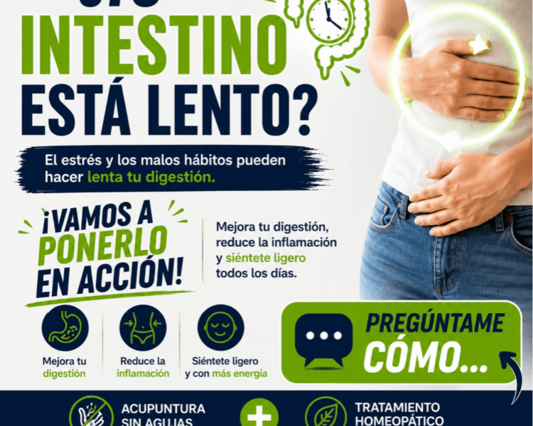 Intestino en Acción