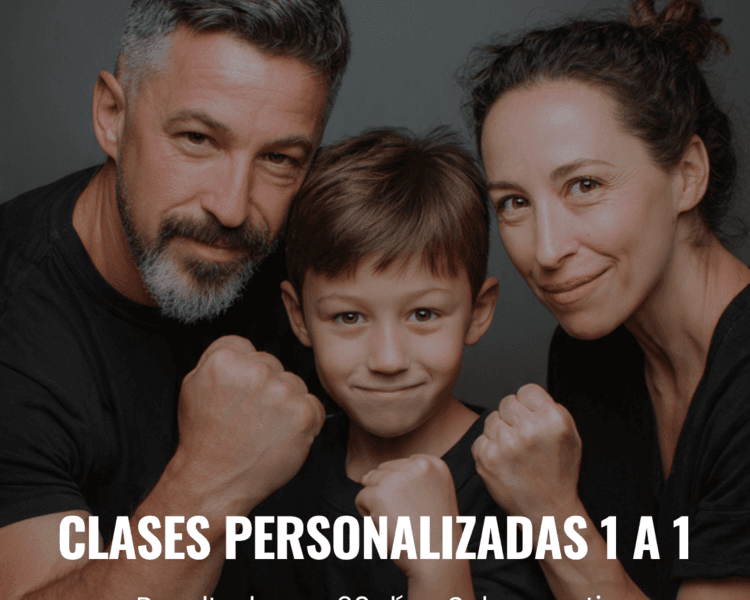 SANTIAGO - 4 CLASES PRIVADAS VIP A DOMICILIO / Las Condes / Vitacura / Lo Barnechea