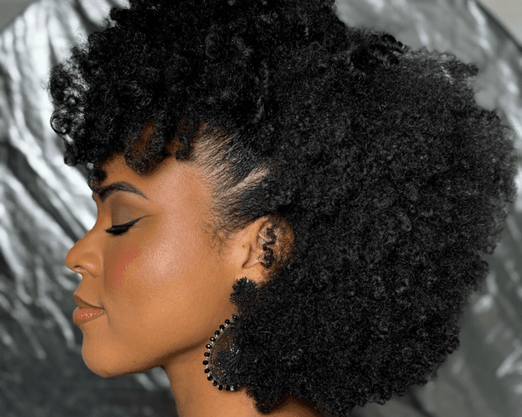 PEINADOS SOCIALES PARA AFRO RIZADAS
