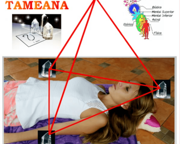 Consulta Terapeuta