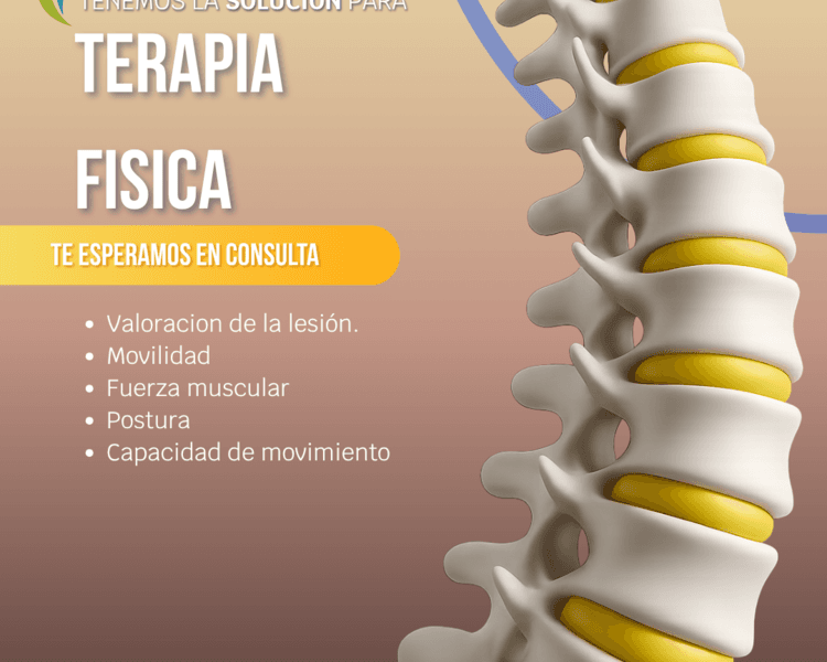 Sesión de Terapia Física
