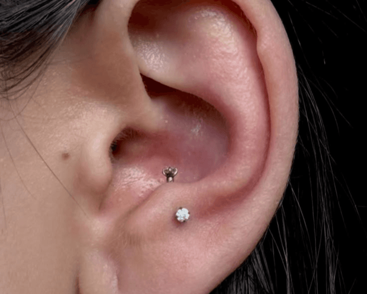 Antitragus