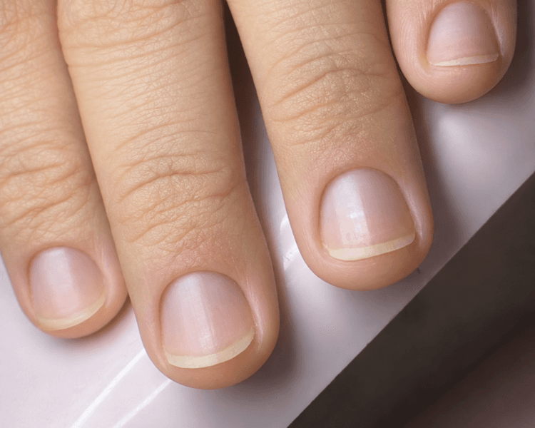 MANICURE SOLO LIMPIEZA