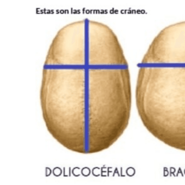 1. Corte cabello (asesoria gratis)