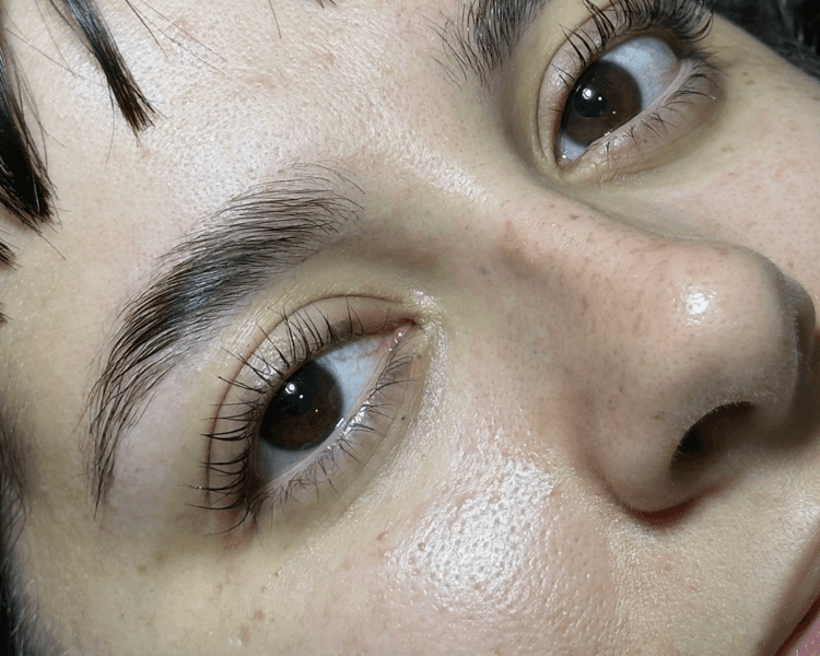Laminado de cejas con nutricion