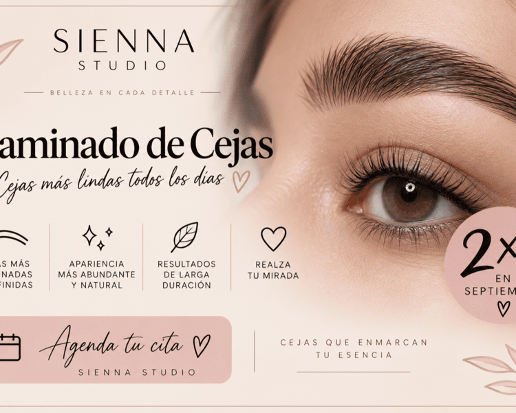 Laminado de Cejas