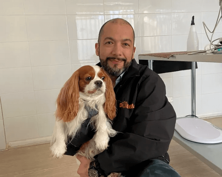 Cardiología Veterinaria | Perros y Gatos
