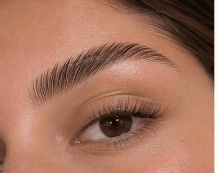 Laminado de cejas (Lunes, Martes y Miercoles -10% en efectivo)