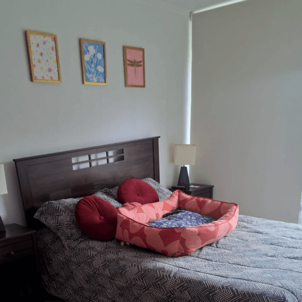 Full 1 dormitorio + 1 Baño