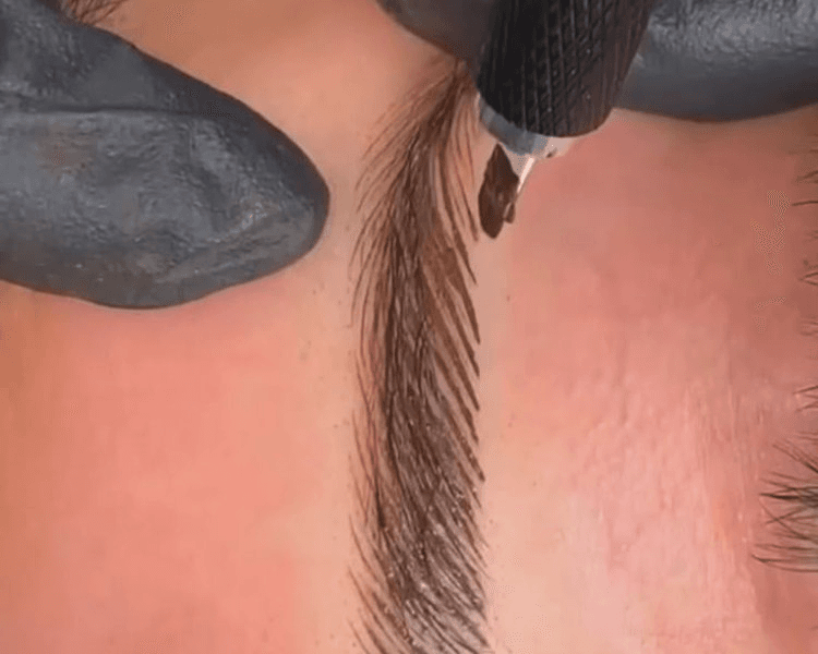 Microblanding Cejas