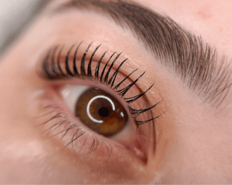 Perfilado de cejas + Lash Lifting
