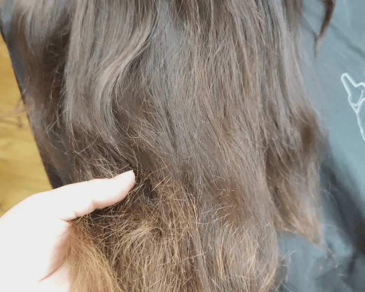 Corte Bordado