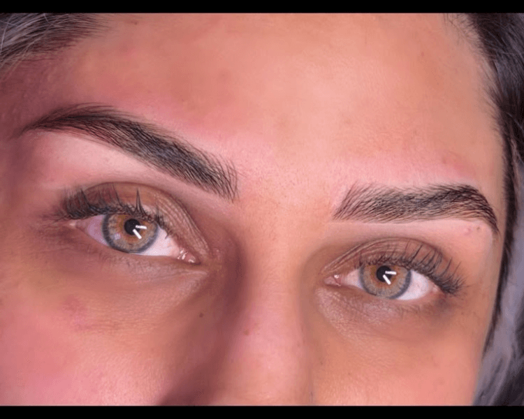 MICROPIGMENTACIÓN DE CEJAS — MICROBLADING ✨