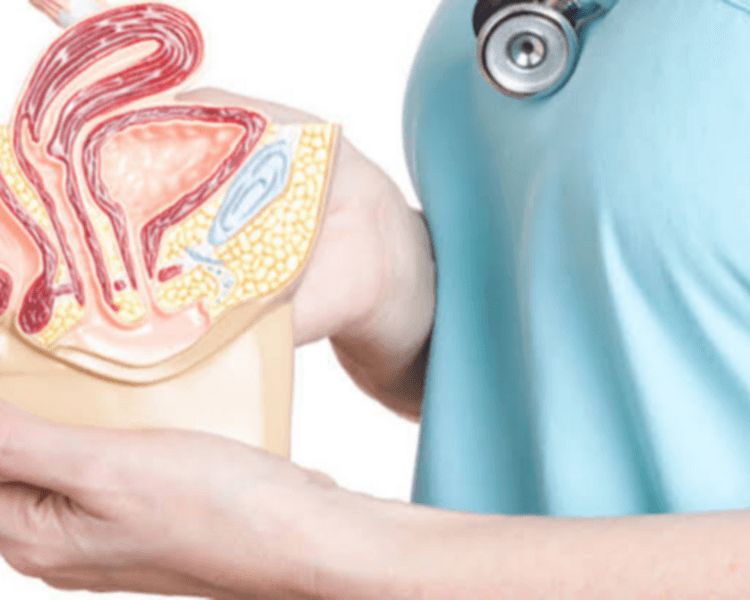 EVALUACIÓN KINESIOLÓGICA PISO PELVICO
