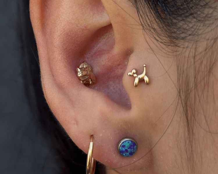 Piercing Cartílago