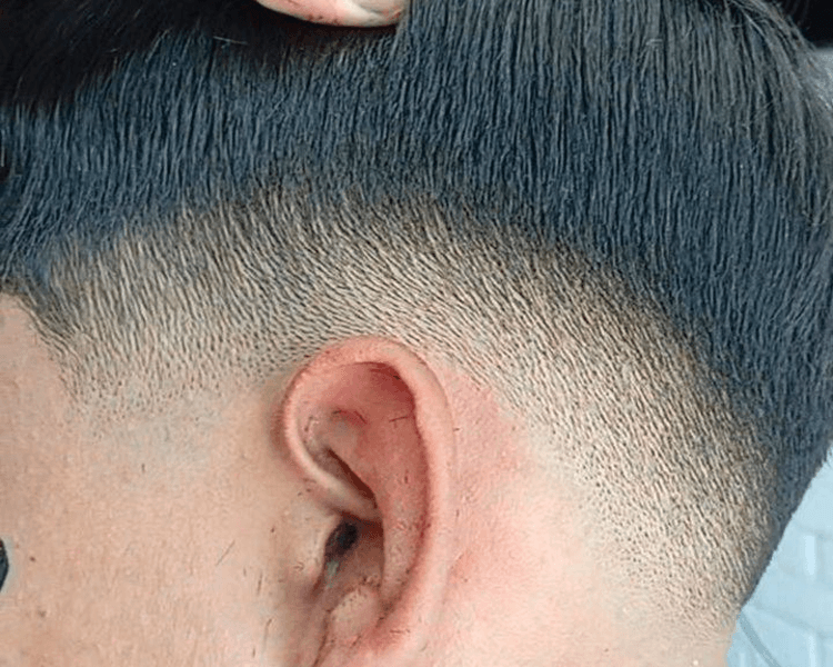 Corte + Limpieza Facial + Cejas