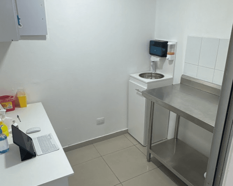 Esterilización Felina