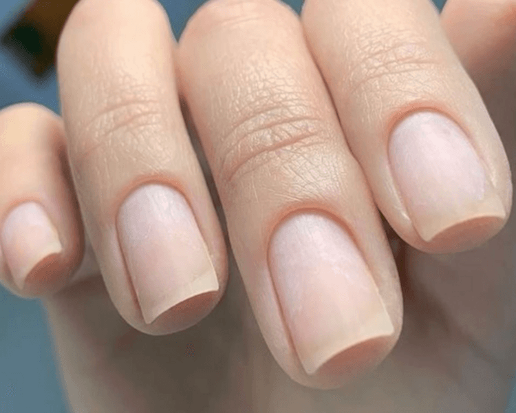 Manicura + Pedicura DAMA (Solo limpieza)