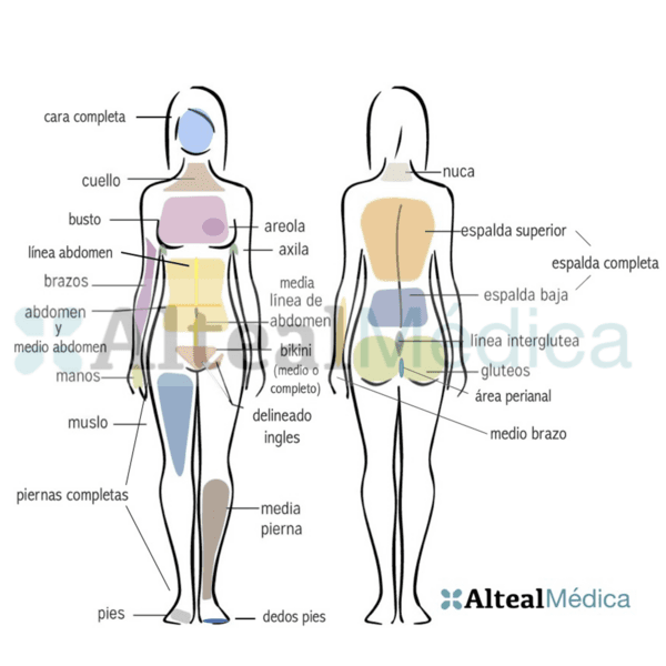 ABDOMEN COMPLETO (1 sesión) Depilación Láser Diodo