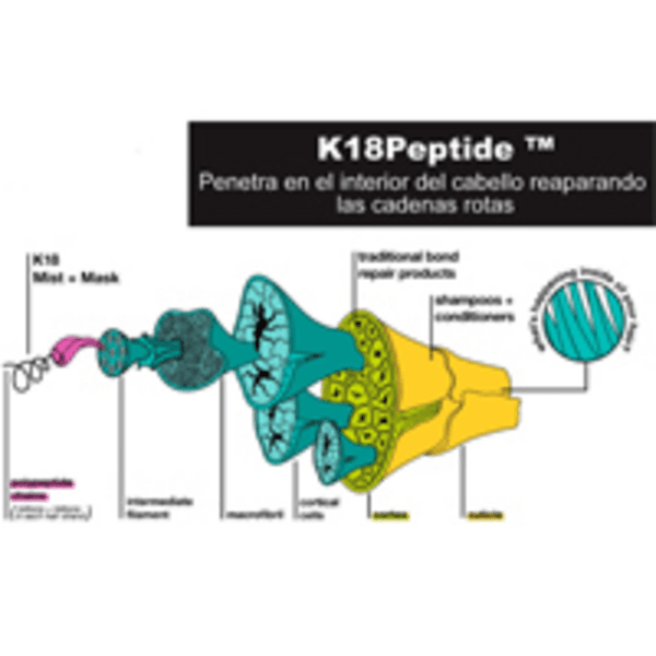 K18 (XL)- LISTA $ 104.000 EFE $ 93.000