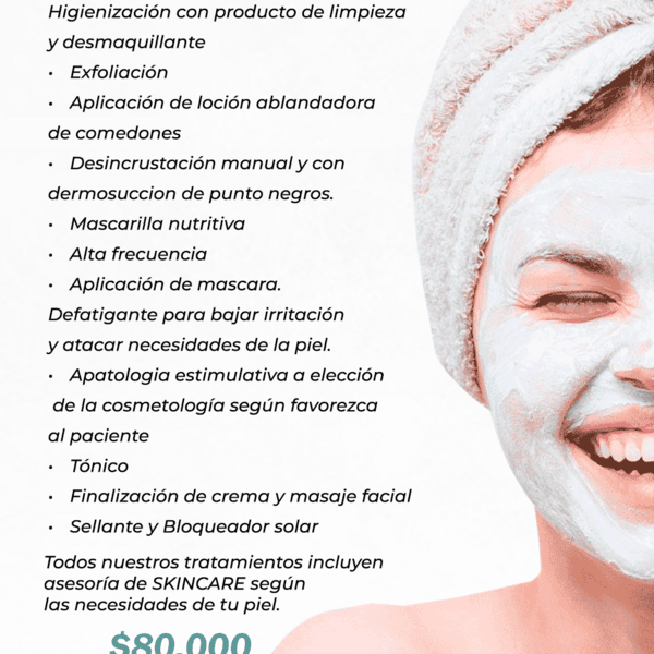 LIMPIEZA BASICA PROFESIONAL