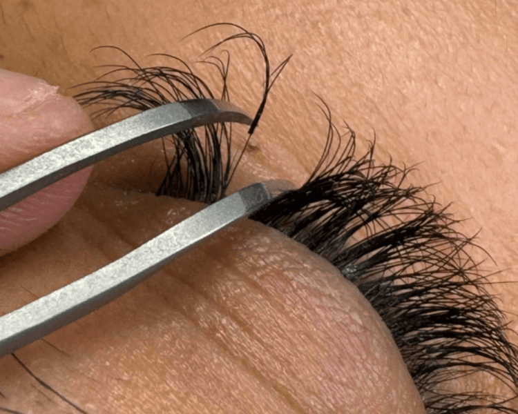 MTTO VOLUMEN ARTESANAL 3-6D (2 semanas)