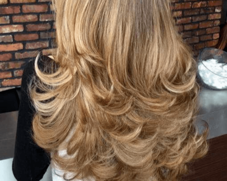 Blower - Cepillado ($ desde)