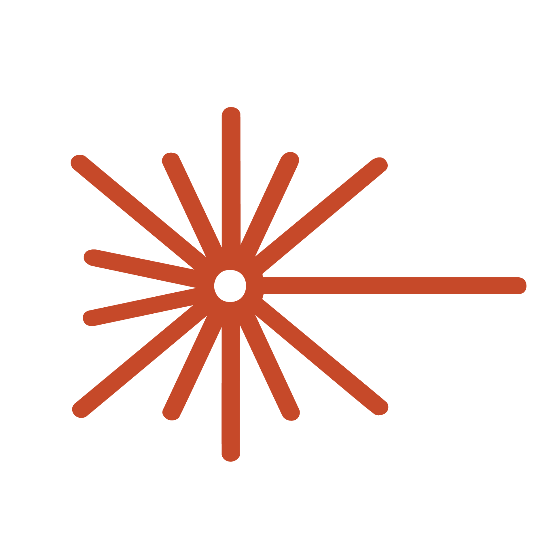 Luma estudio fotografico photo