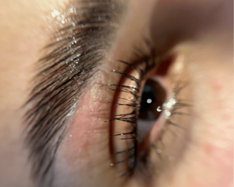 PERFILADO Y LAMINADO DE CEJAS