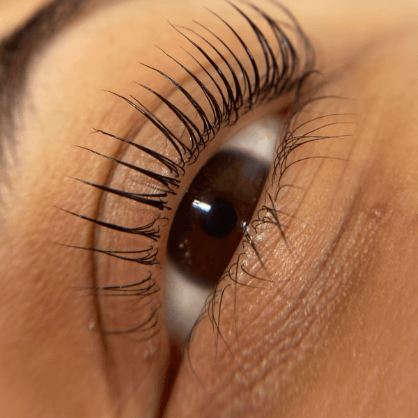 Lifting de Pestañas full