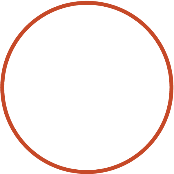 Sesión fotográfica sin fotografo | El Fondo Blanco - 45 min