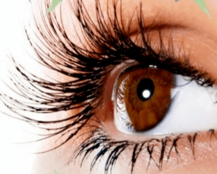 Lifting de Pestañas con o sin color