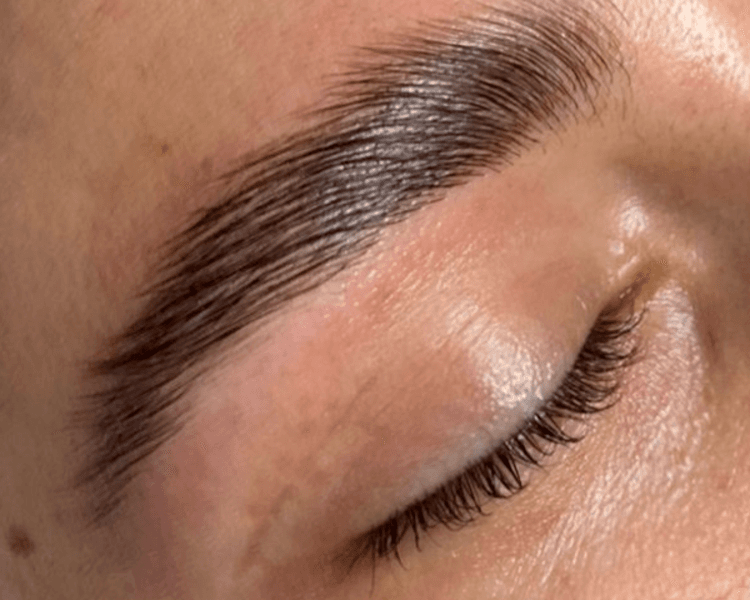 Diseño y Perfilado + Laminado de Cejas