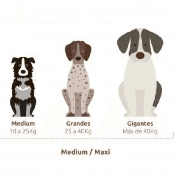 BAÑO PERRO GIGANTE - 40 kgs o más. / REÑACA - JARDIN DEL MAR - LOS ALMENDROS