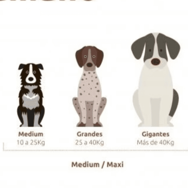 BAÑO PERRO GRANDE - 25 A 40 kgs. /REÑACA - JARDIN DEL MAR - LOS ALMENDROS