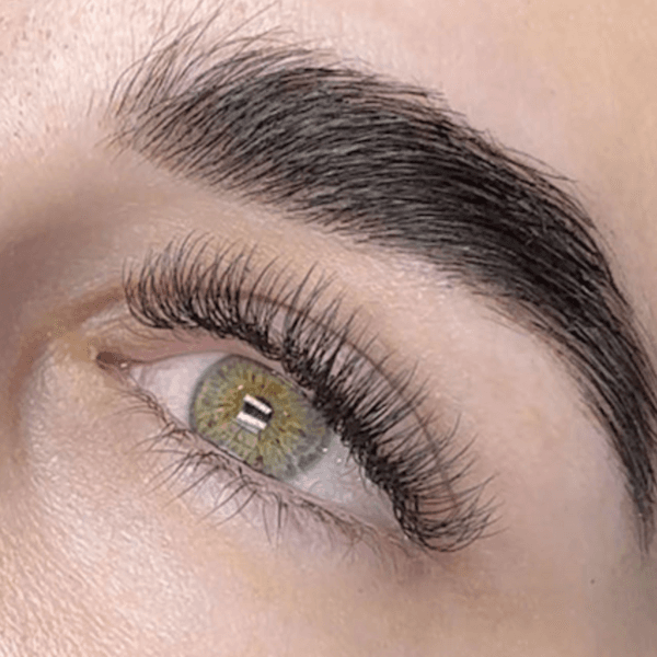 Extensiones Volumen 2D