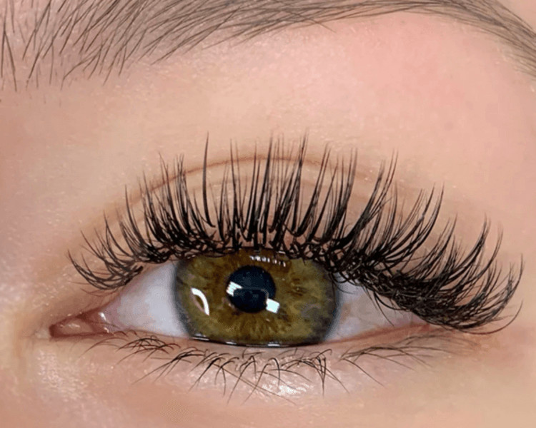 Extensiones de pestañas EFECTO HUMEDO