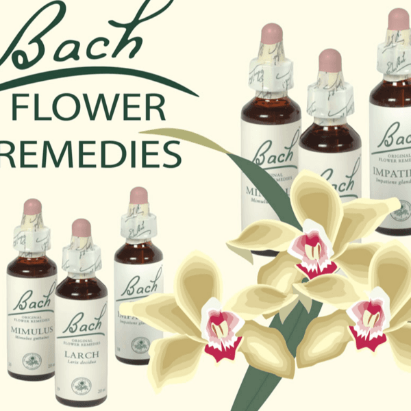TERAPIA ALTERNATIVA Y COMPLEMENTARIA (Flores de Bach)