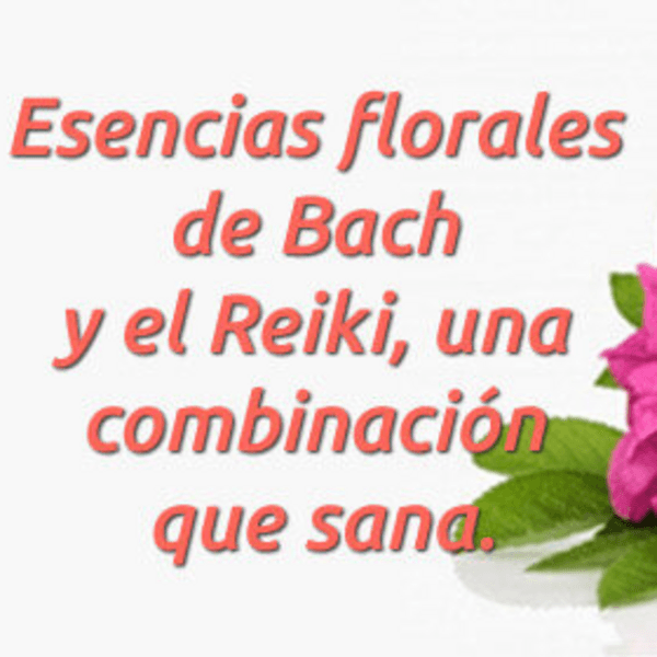 TERAPIA CUERPO Y MENTE (Reiki + Sonoterapia + Flores de Bach)