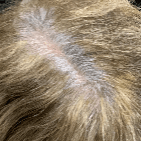 RETOQUE DE CANAS