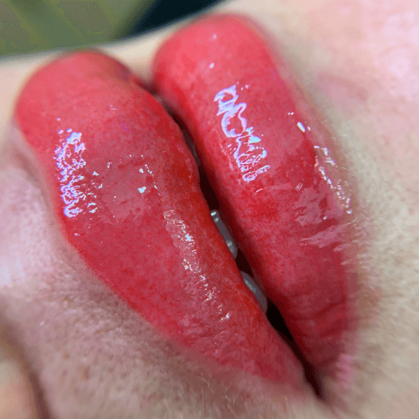 MICROPIGMENTACIÓN DE LABIOS