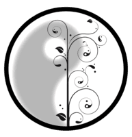 Yi Dao Salud (医道) – Medicina Tradicional China en Valdivia.