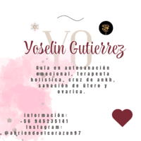 Yoselin Gutierrez logo